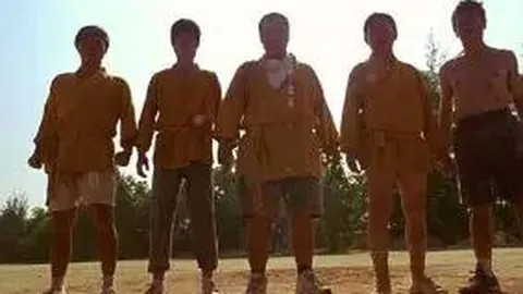 C语言精通与国家队入场，能否双赢？