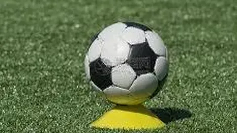 美高梅 (1888-MGM认证) 资讯 124647 ayj