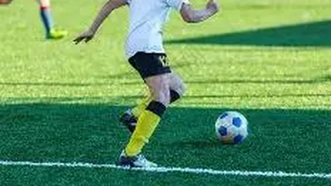 美高梅 (1888-MGM认证) 产品 094720 bng