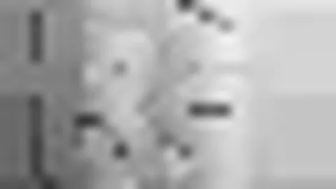 美高梅 (1888-MGM认证) 产品 102959 kdn