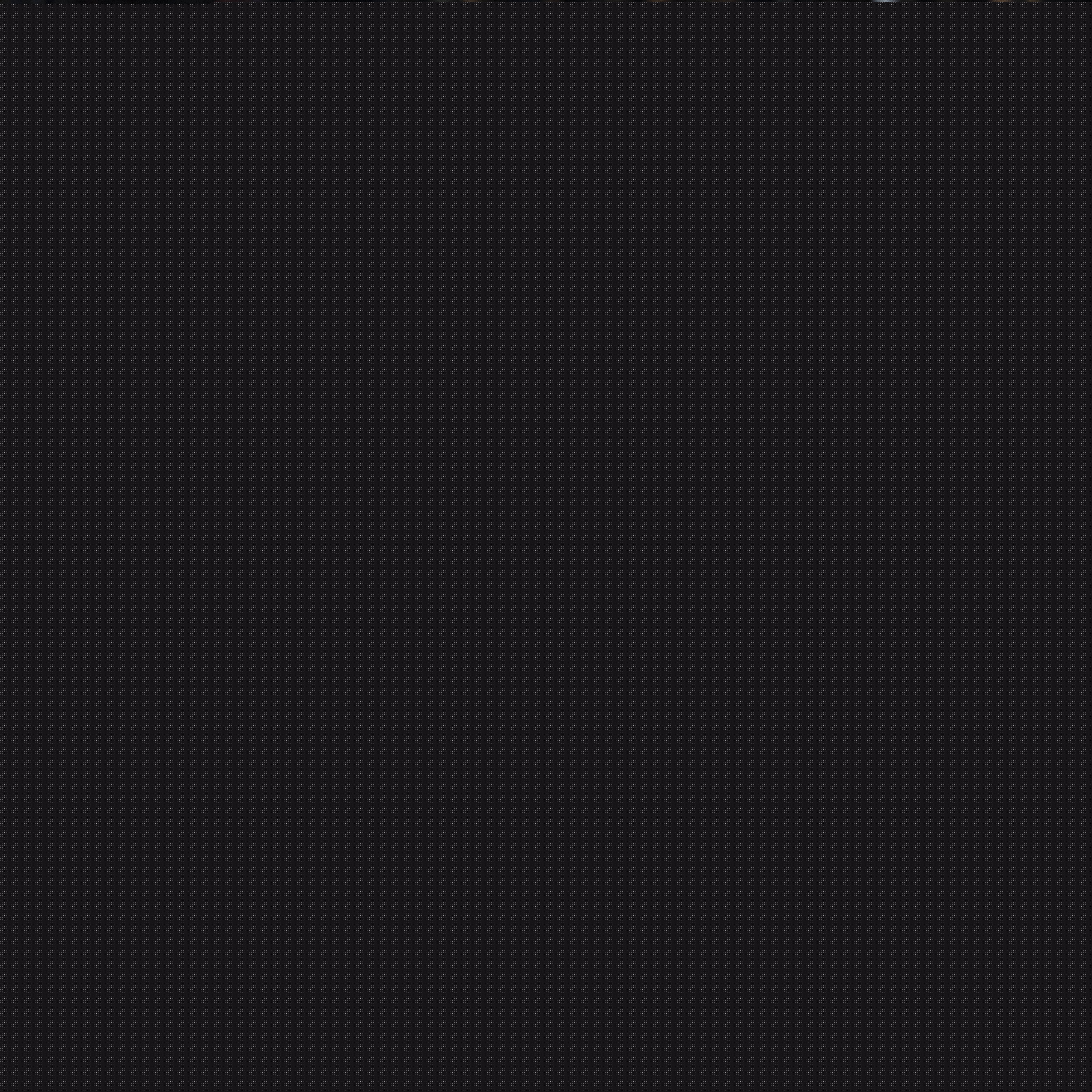 比赛中不仅